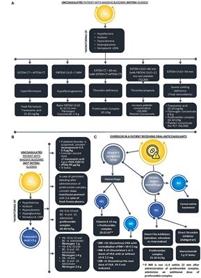 Role of prothrombin complex concentrate in the severe trauma patient